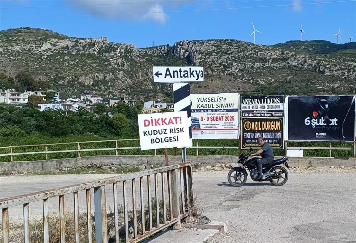 Hatay'da Kuduz Nedeniyle Karantina ve Köpek Toplama