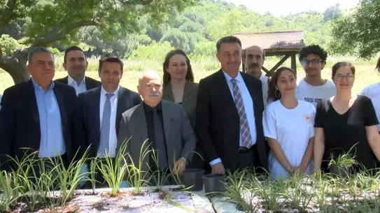 Marmara Denizi için Yüzer Bitki Adaları