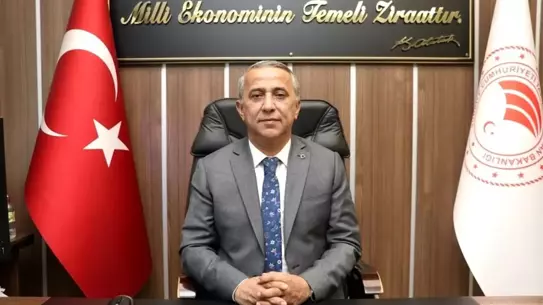 Fındıkta Kahverengi Kokarca Alarmı