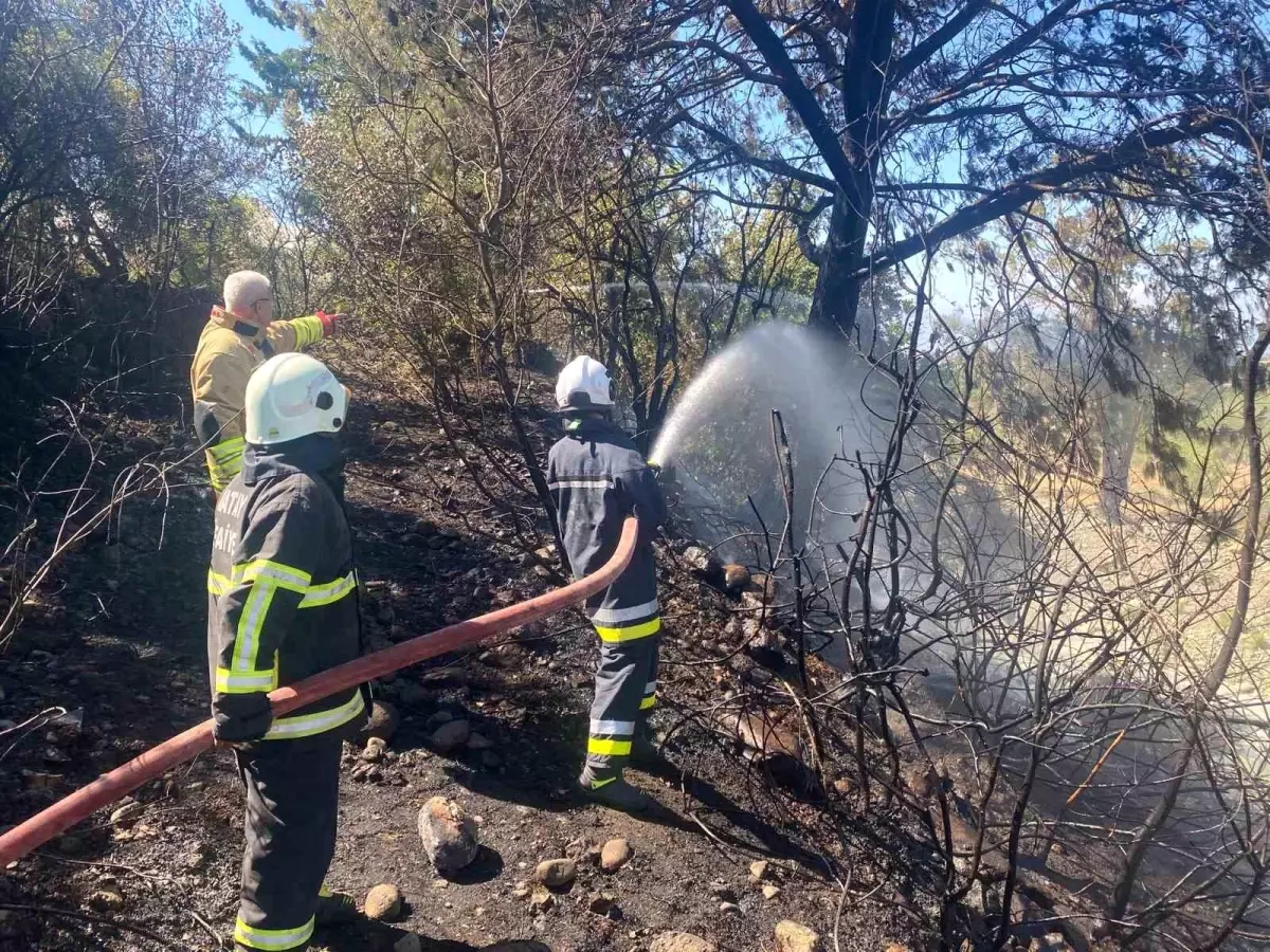 Hatay'da Orman Yangını Kontrol Altına Alındı