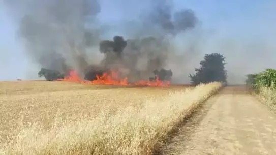 Turgutlu'da Buğday Tarlasında Yangın