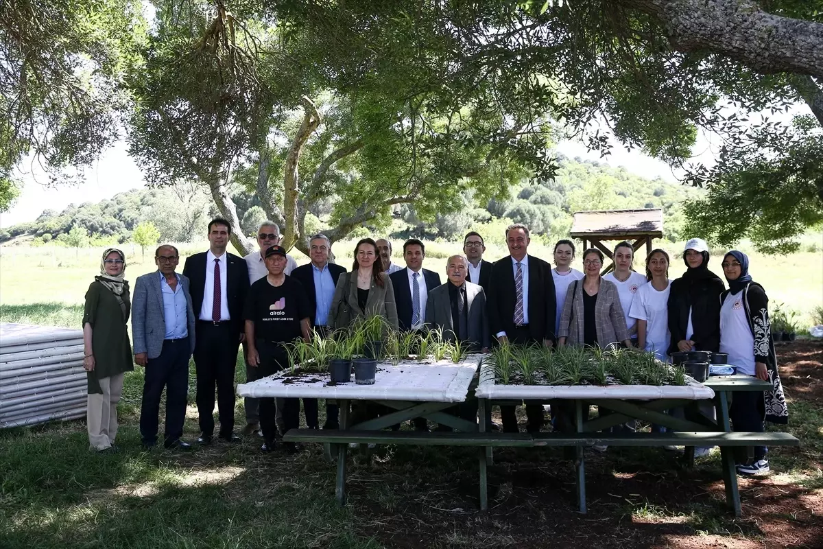 Yüzer Bitki Adaları ile Kirlilikle Mücadele