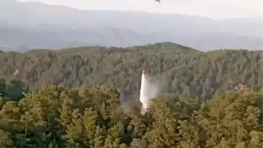 Muğla ve Aydın'da Yangınlar Kontrol Altına Alındı