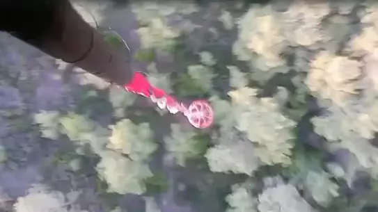 Muğla ve Aydın'da 3 Orman Yangını Kontrol Altında