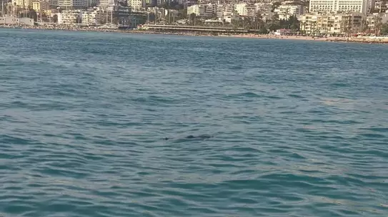 Kuşadası'nda Denizde Erkek Cesedi Bulundu