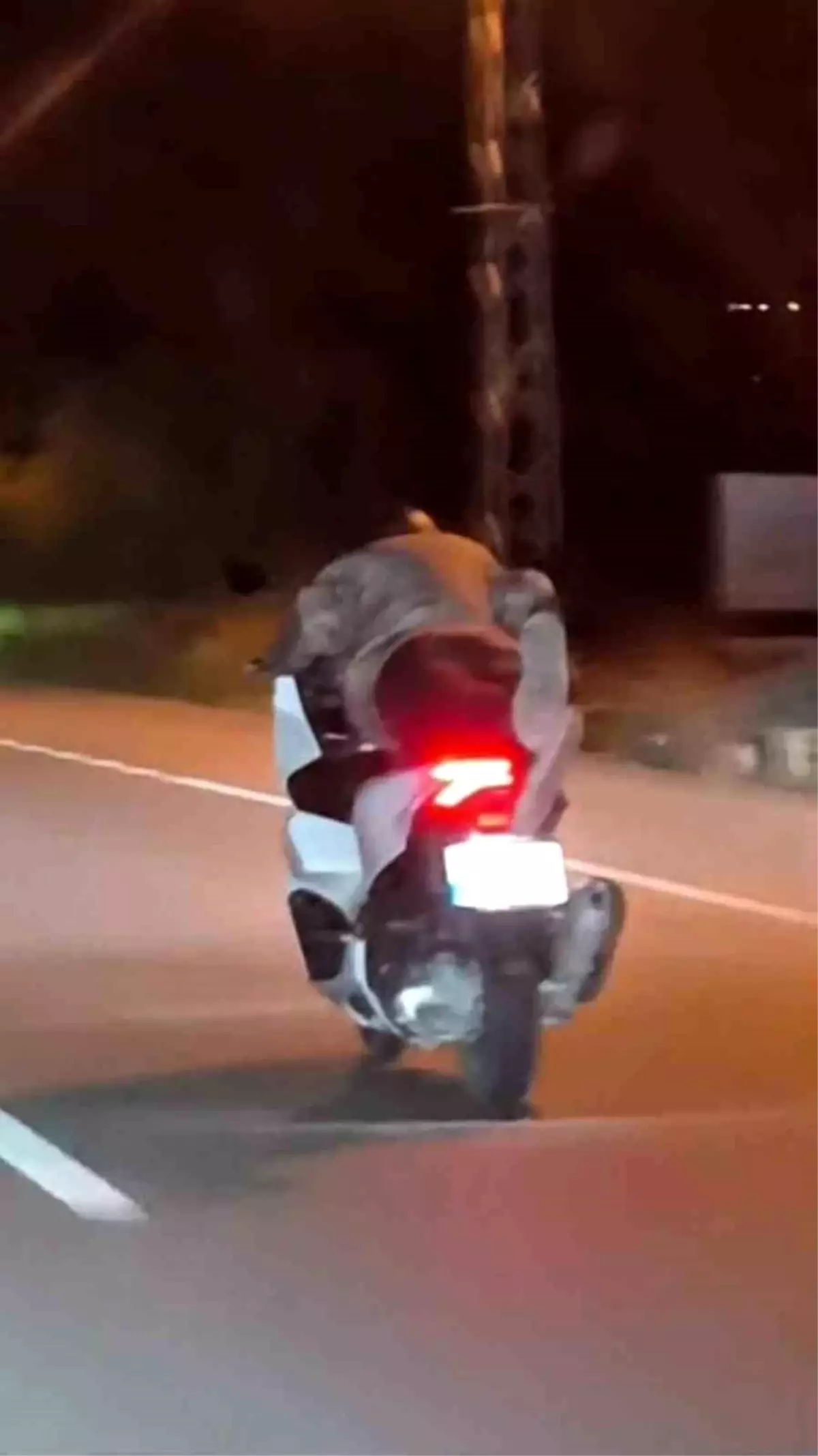 Motosiklet Sürücüsünden Tehlikeli Akrobasi