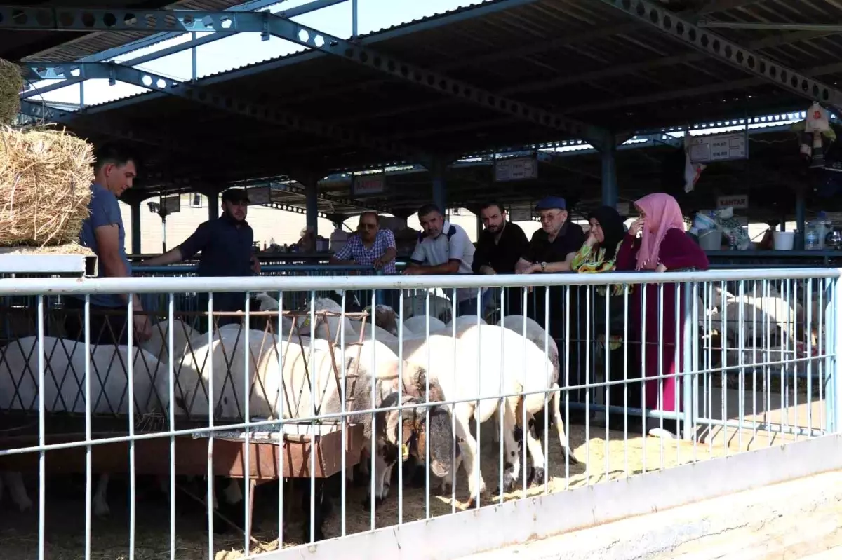 Denizli Hayvan Pazarında Bayram Hareketliliği
