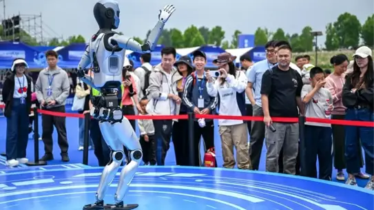 Dünya Robot Karnavalı Wuhan'da Başladı