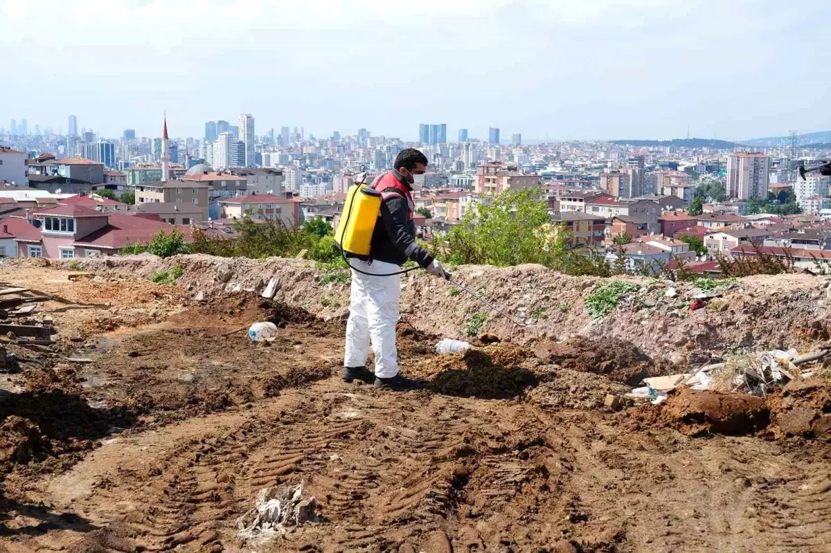 Ataşehir Belediyesi Kurban Bayramı Öncesi Denetimlerini Artırdı