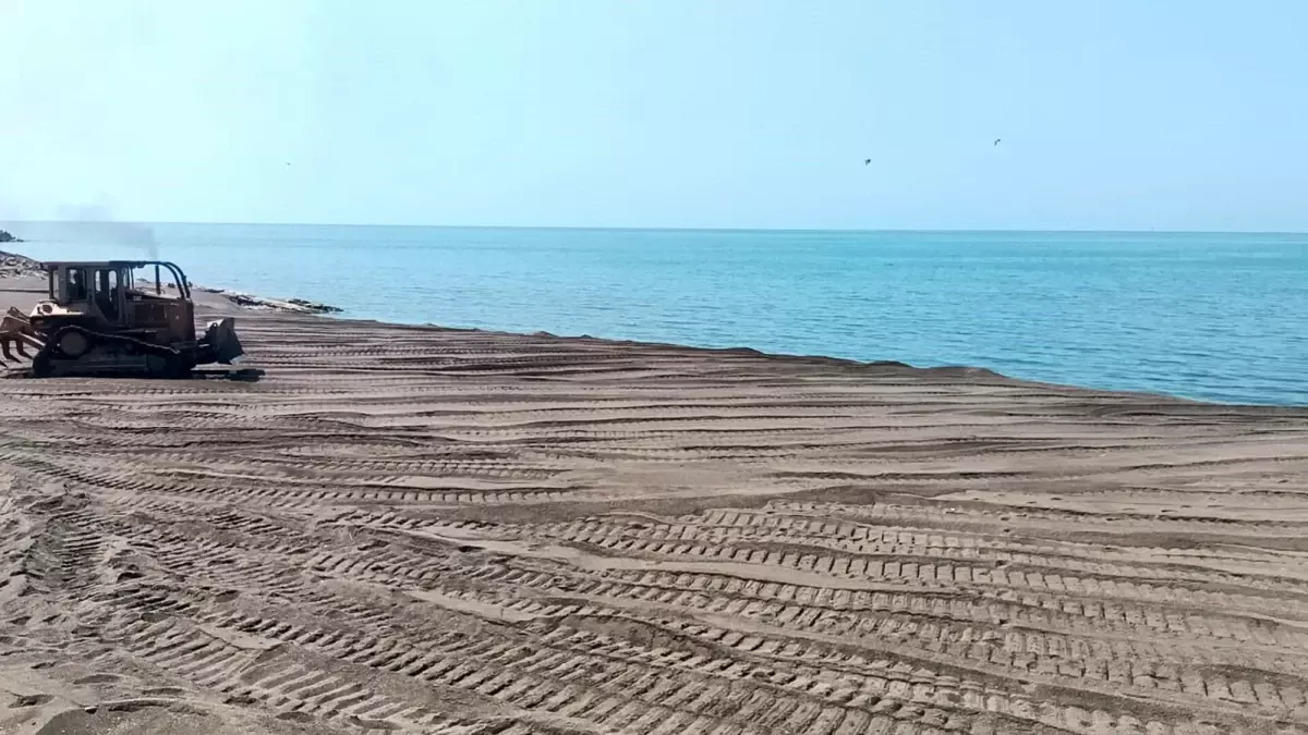 Düzce'de Sahile Vuran Ölü Yunus Balığı Ekipler Tarafından Kaldırıldı