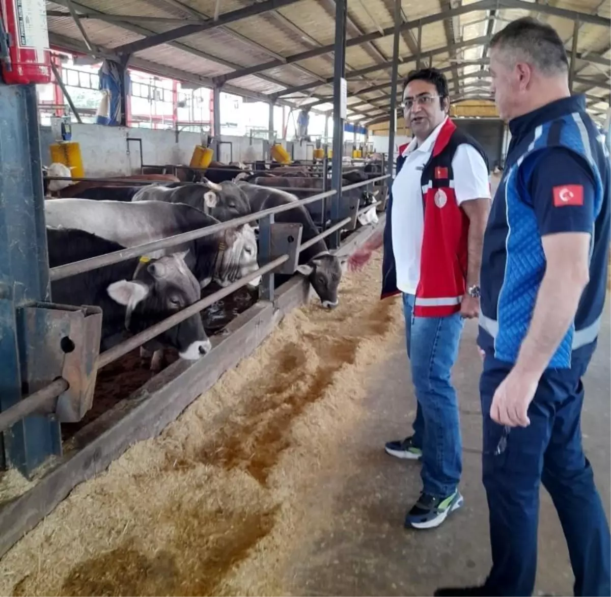 Kartepe'de Kurban Kesim ve Satış Yerlerinde Sıkı Denetim