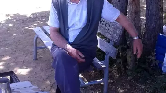 Kene Isırığı Hayat Aldı
