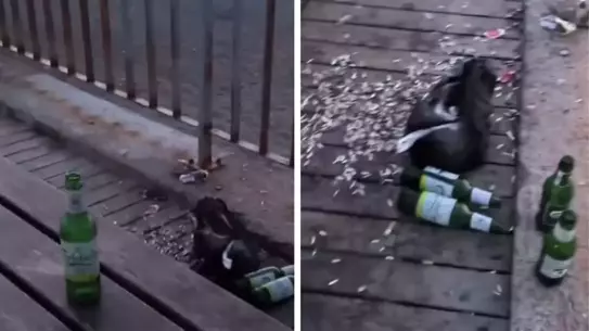 Konyaaltı sahilindeki kirliliğe isyan eden turistin söyledikleri dikkat çekti