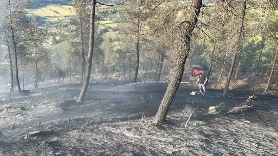 Dursunbey'de Orman Yangını Kontrol Altına Alınıyor