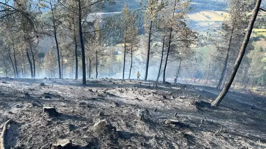 Dursunbey'de Orman Yangını Kontrol Altına Alındı