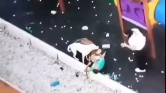 Sokak köpekleri parkta oynayan küçük çocuğa saldırdı