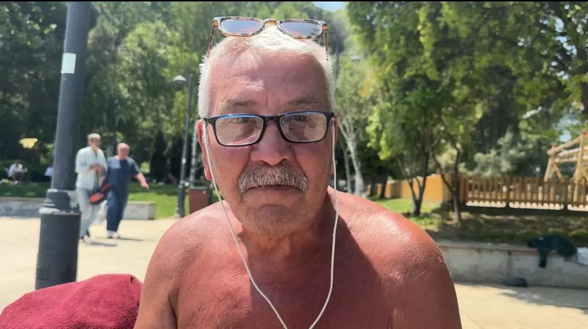 Bebek Sahiline Ölü Yunus Vurdu