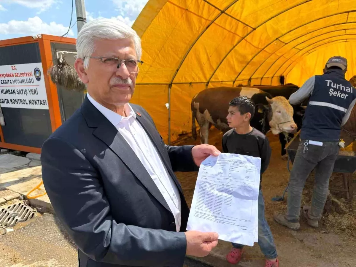 Veteriner Hekimlere Şiddete Son!