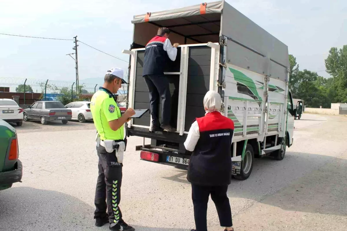 Düzce'de Kurban Bayramı Öncesi Denetimler Sıkılaştı