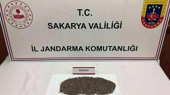 Sakarya'da Uyuşturucu Operasyonu: 150 Gram Bonzai Ele Geçirildi