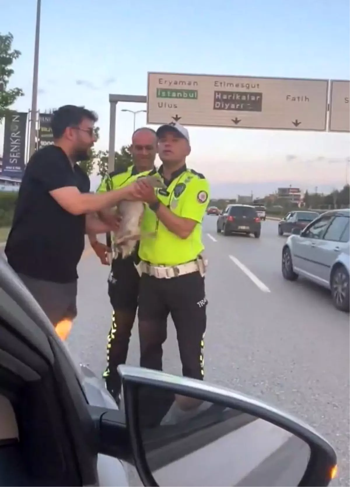 Ankara'da Ördek Kurtarıldı