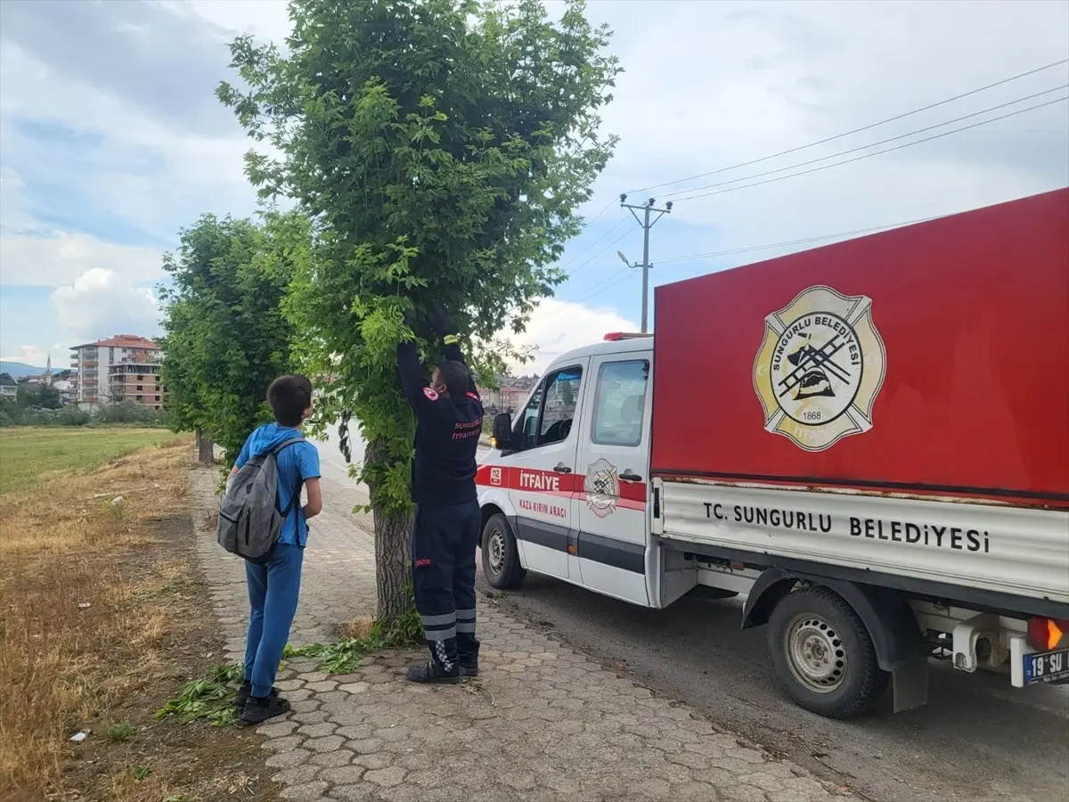 Mahsur Kedi Yavrusunu İtfaiye Kurtardı