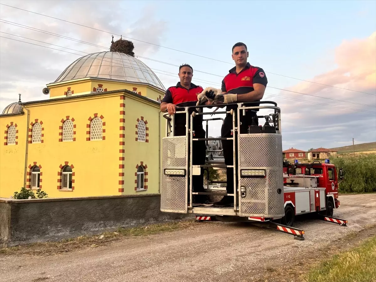 Sungurlu'da Yavru Leylek Kurtarıldı