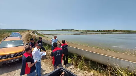 Çanakkale'de İzinsiz Çeltik Denetimleri Sürüyor