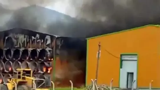 Çubuk'ta Tavuk Çiftliği Yangını