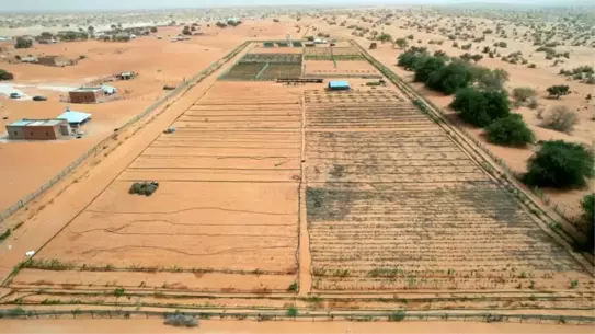 Çin-Afrika Ekolojik Bariyer Projesi