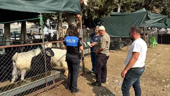 Antalya'da Sahte Para ve Dolandırıcılık Uyarısı