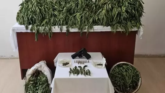 Nusaybin'de Uyuşturucu Operasyonu