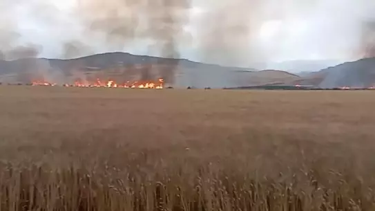 Siirt'te Yıldırım Faciası