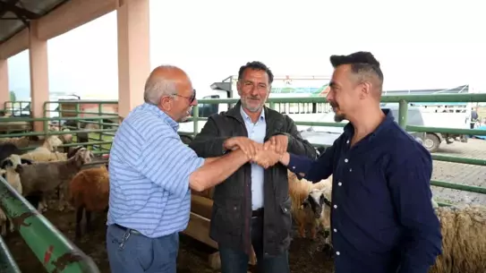 Muş'ta Kurban Pazarı Hareketli