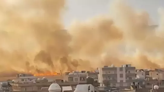 Kızıltepe'de Yangın: 350 Dönüm Buğday Alanı Zarar Gördü