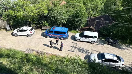 Karabük'te Köpekler Telef Edildi