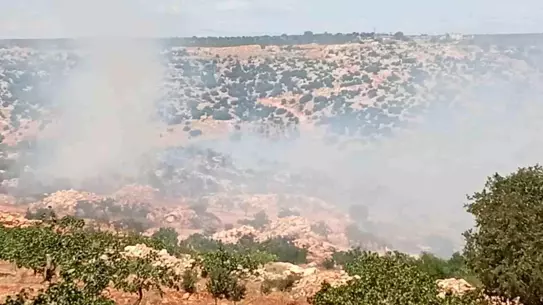 Nizip'te Fıstık ve Zeytin Bahçelerinde Yangın