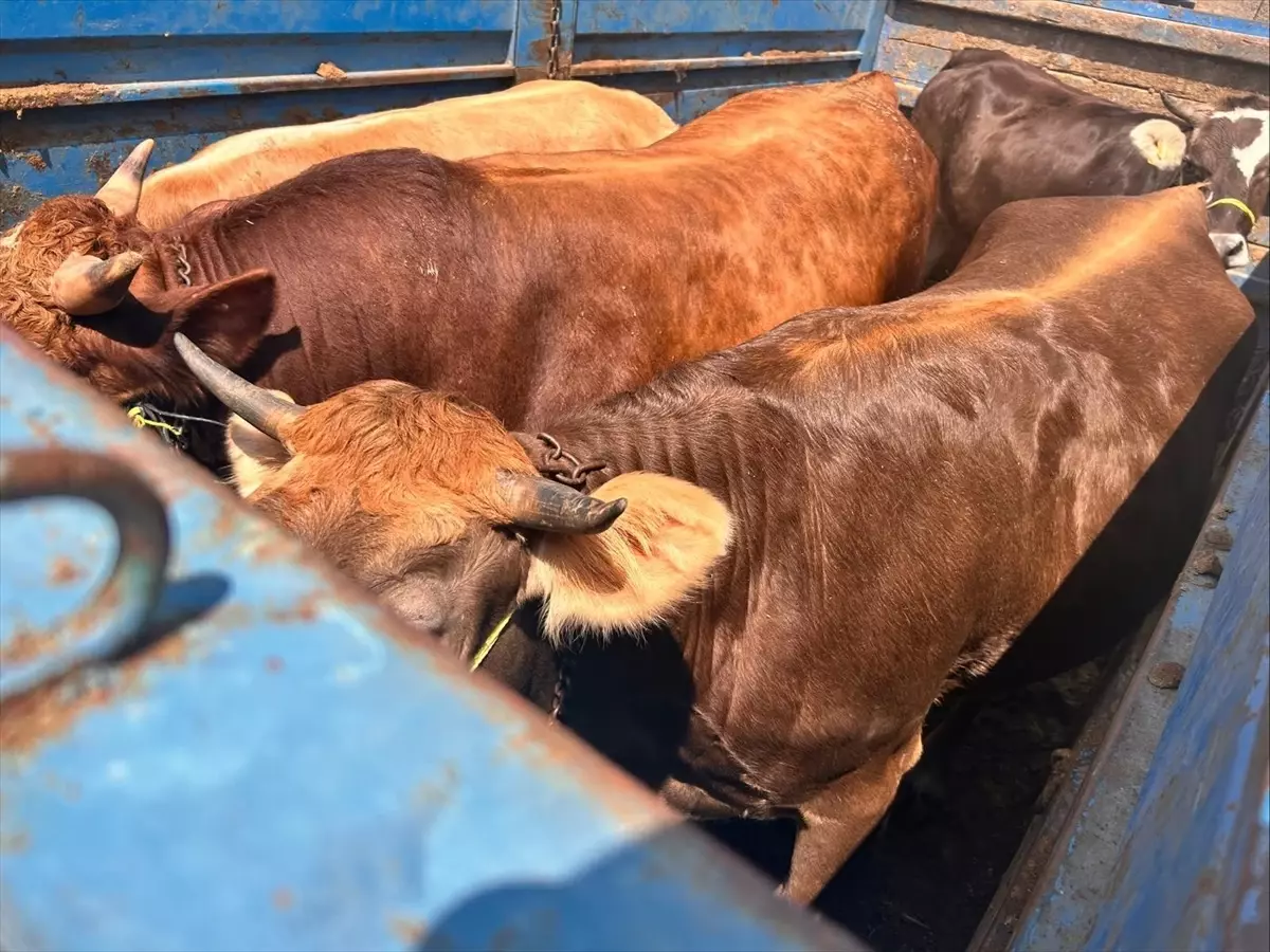 Jandarmadan Kurban Bayramı Denetimi