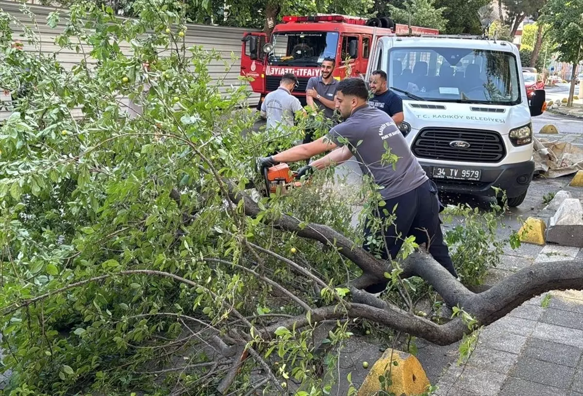 Kadıköy'de Ağaç Araca Devrildi
