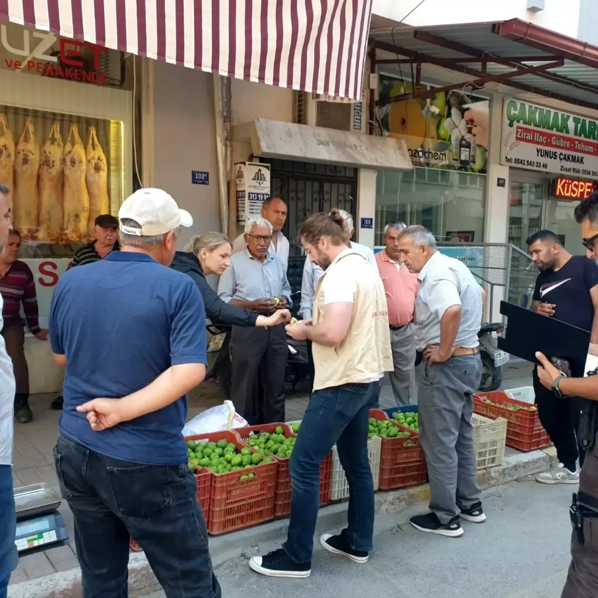 Aydın'da İlek Denetimleri: Hastalıklı Ürünler Toplatıldı