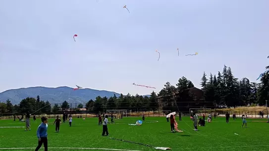 Dodurga'da Uçurtma Yarışması