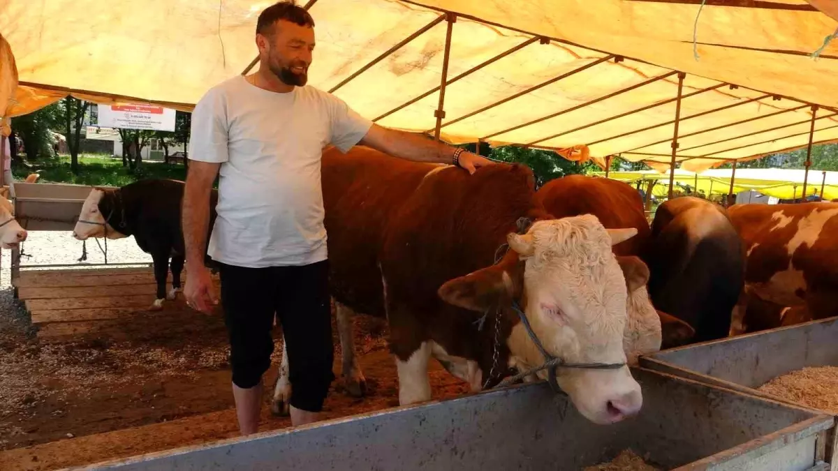 Giresun Kurbanlık Pazarı Can çekişiyor