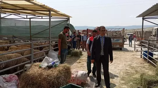Kaymakam Yılmaz, Hayvan Pazarını Ziyaret Etti