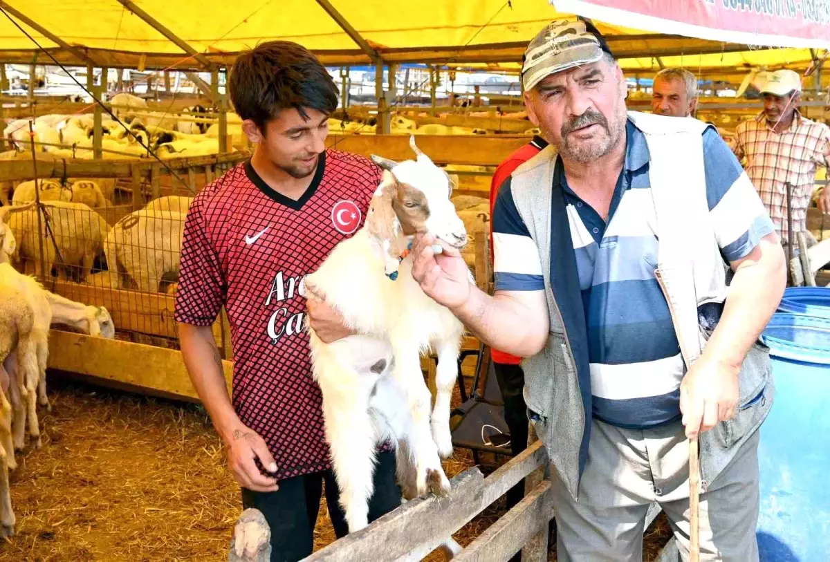 Bahçelievler Çobançeşme Kurbanlık Pazarı'nda Alıcılar ve Satıcılar Memnun
