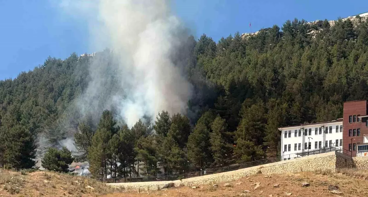 Adıyaman'da Orman Yangını Alarmı
