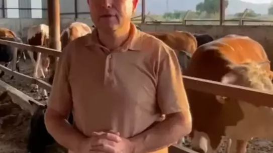 Danadan Yaralanan İş İnsanı Hayatını Kaybetti