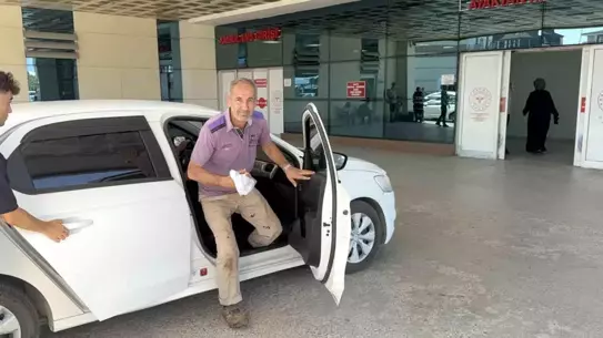 Düzce'de Kurban Kesiminde 92 Yaralı