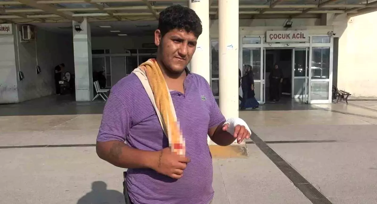 Adana'da Kurban Kesimi Kazaları