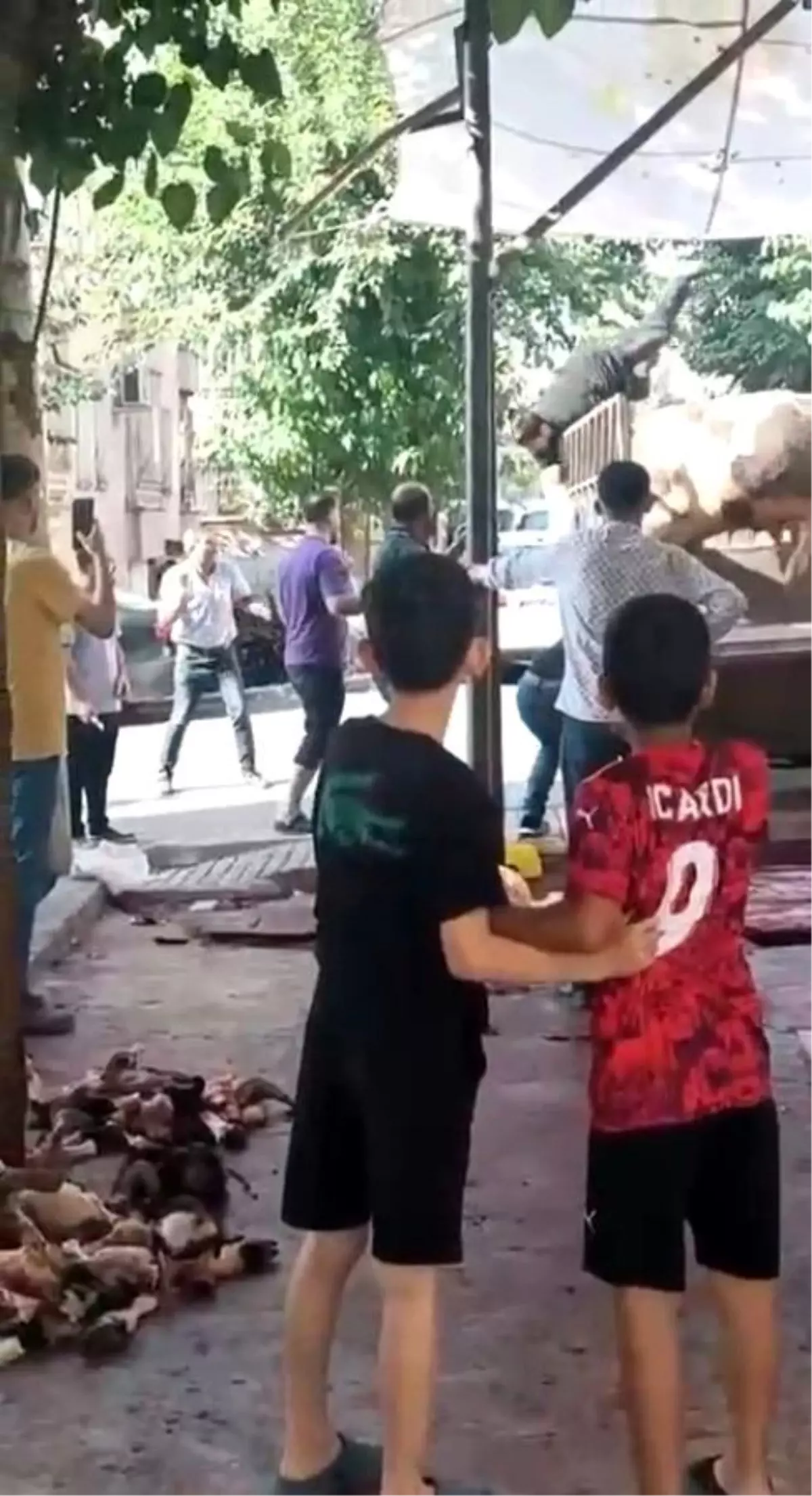 Kızgın Boğa Kasabın Hayatını Tehdit Etti