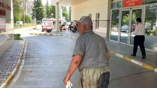 Bolu'da Acemi Kasaplar Hastanelik Oldu